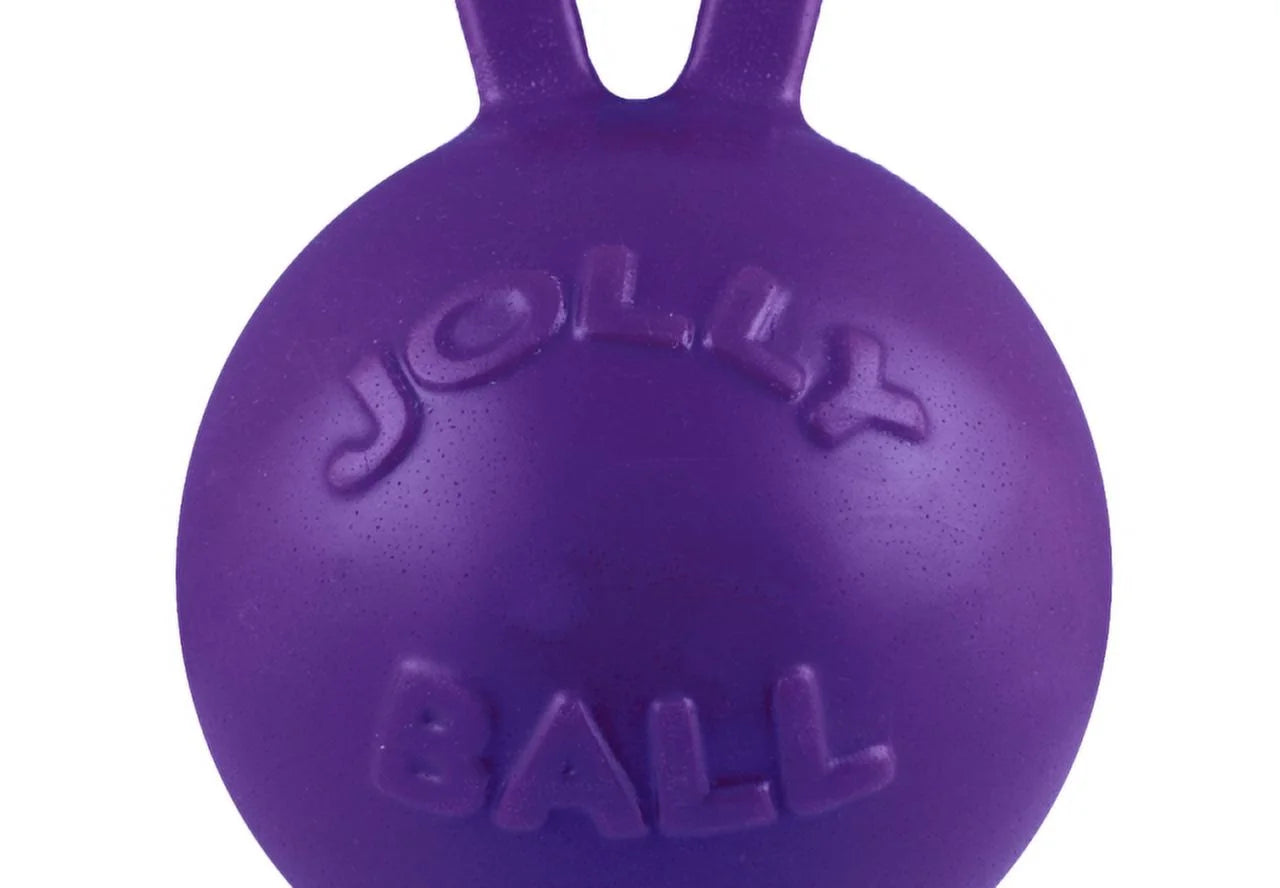 881107 Joly Tug-N-Toss Pur 8